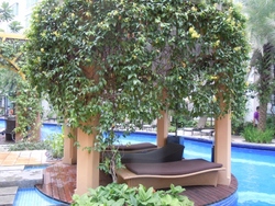 The Lakeshore (D22), Condominium #214943481